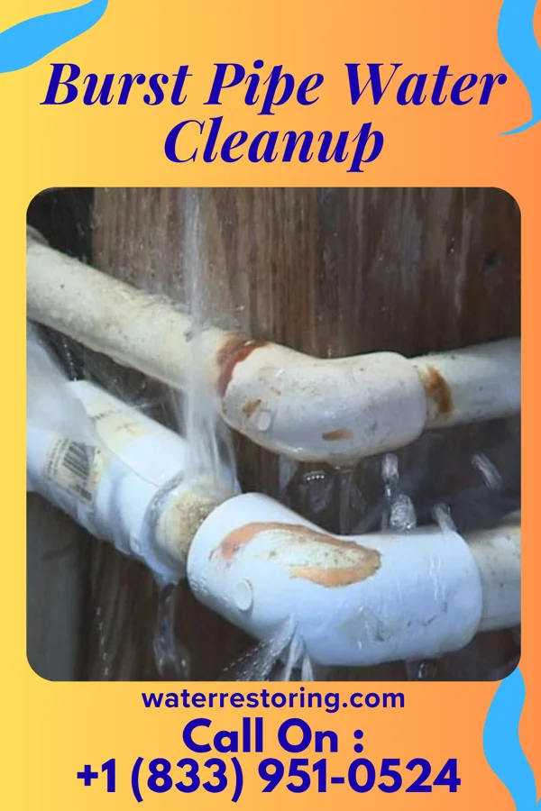 Burst Pipe Water Cleanup in International Falls, MN
