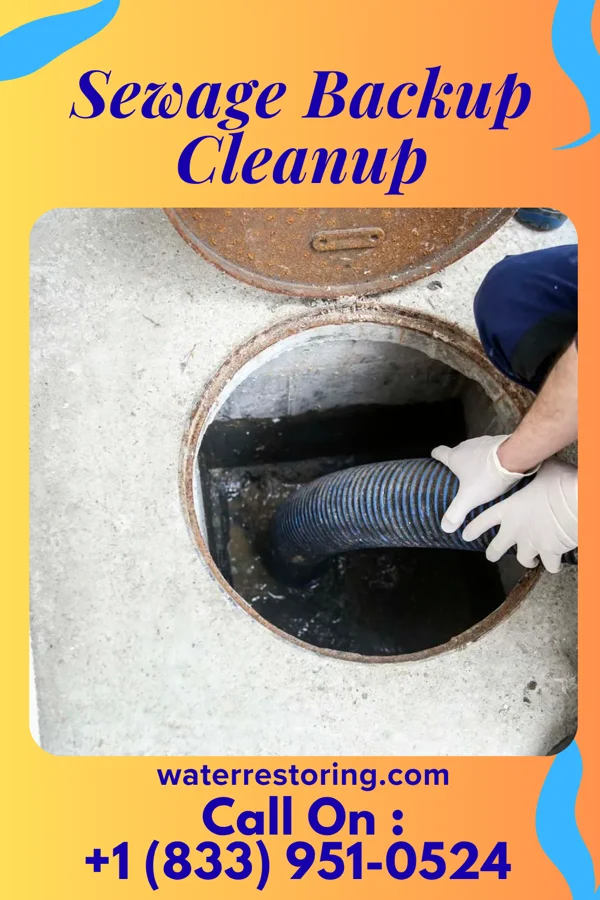 Sewage Backup Cleanup in International Falls, MN